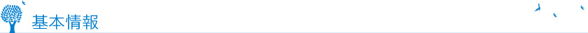 基本情報